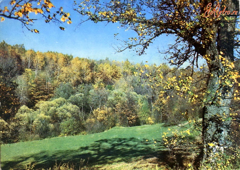 Ретро открытки - Осенний пейзаж