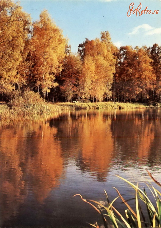 Открытки Осень Золотая Фото