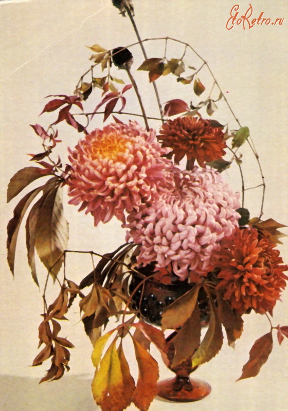 Ретро открытки - Осенняя композиция