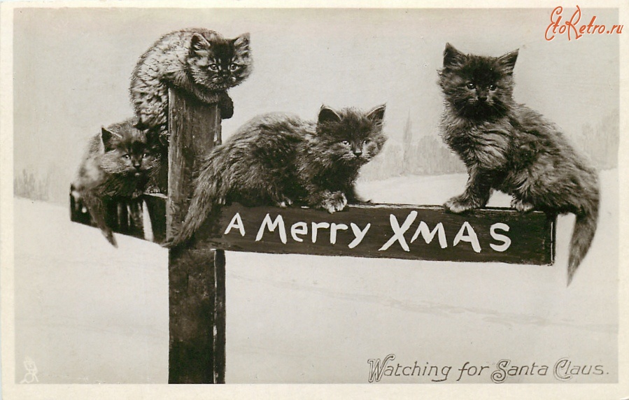 Ретро открытки - Весёлое Рождество и четыре котёнка