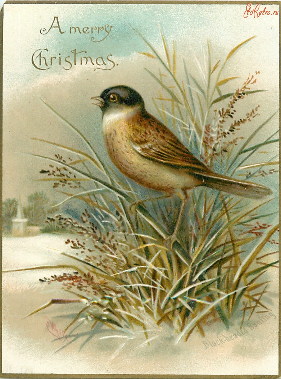 Ретро открытки - Весёлое Рождество. Черноголовая овсянка
