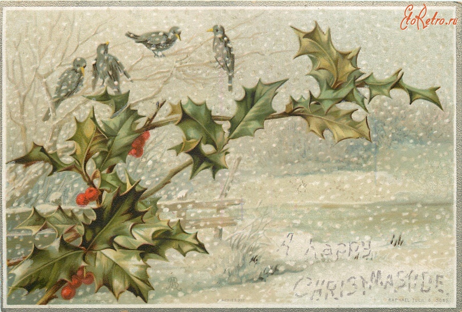 Ретро открытки - Счастливого Рождества. Дрозды и ветка падуба