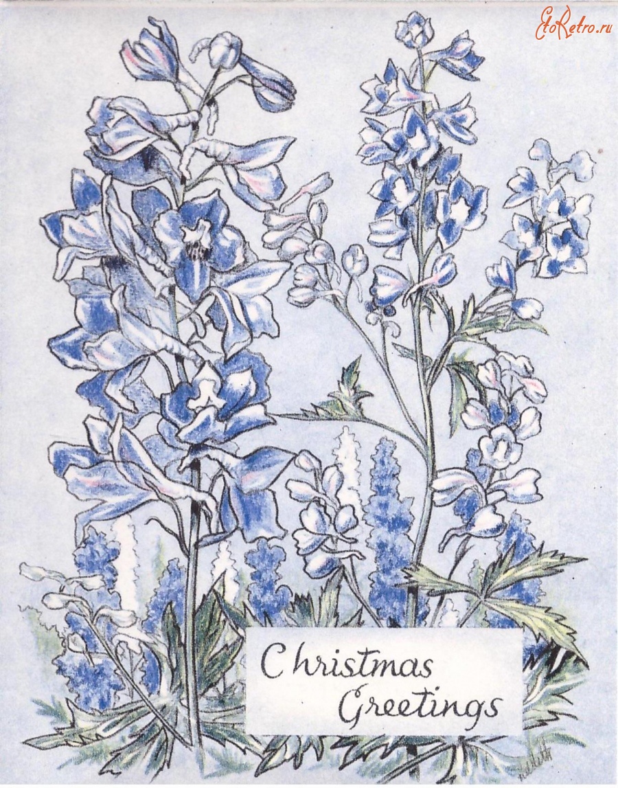 Ретро открытки - Рождественские поздравления. Голубой дельфиниум