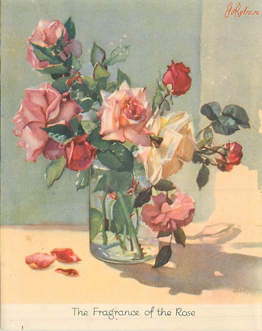 Ретро открытки - Аромат розы