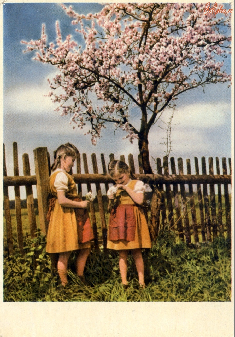 Ретро открытки - открытки ГДР  дети