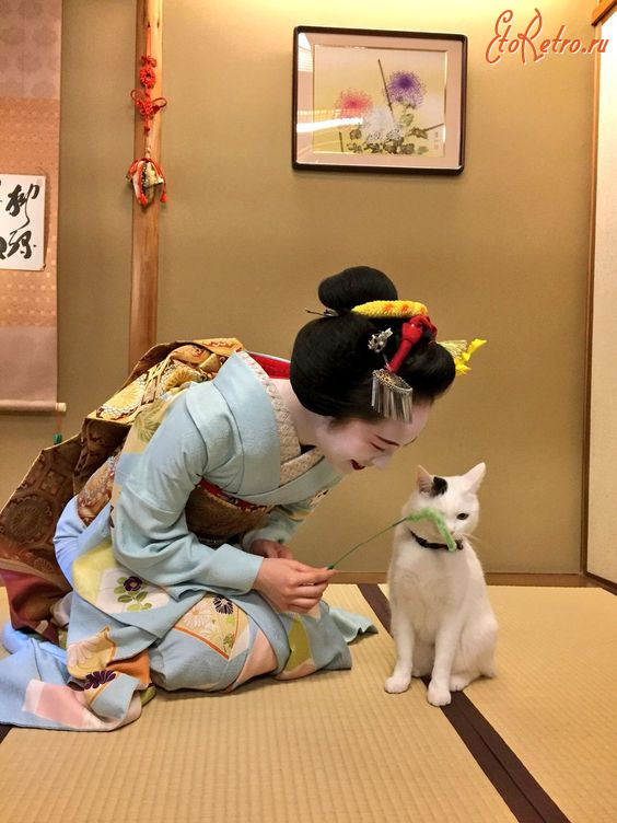 Ретро открытки - Японка з котиком.