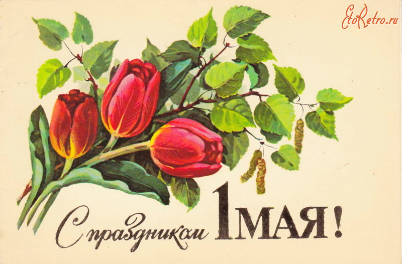 Открытки с 1 5. Советские открытки с 1 мая. 1 Мая ретро открытки. Открытки с 1 мая тюльпаны. Мир труд май ретро открытки.