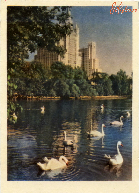 Ретро открытки - Вид из зоопарка на высотный дом на площади Восстания