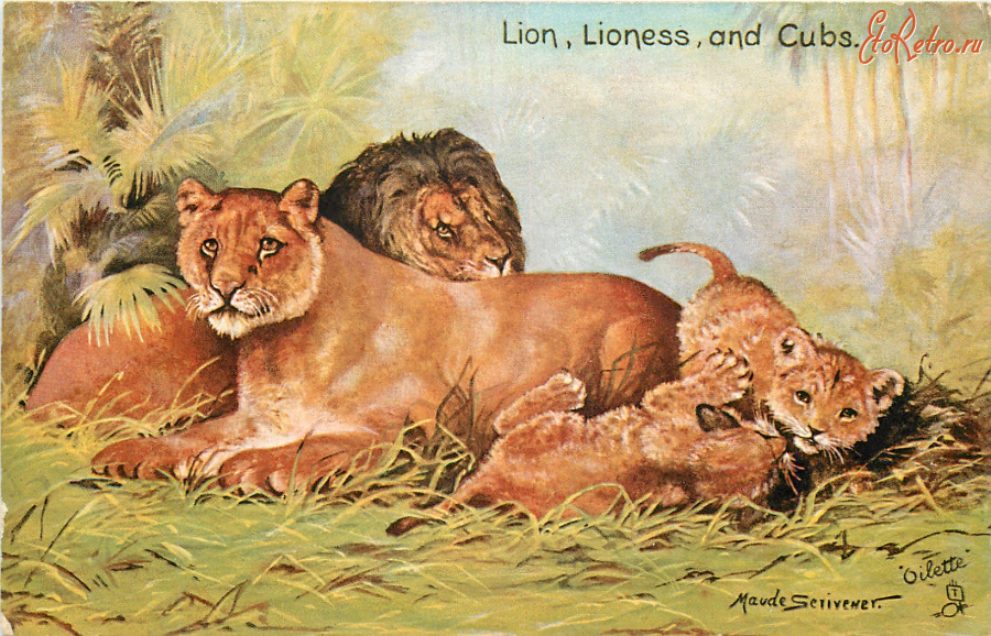 Ретро открытки - Лев, львица и львята