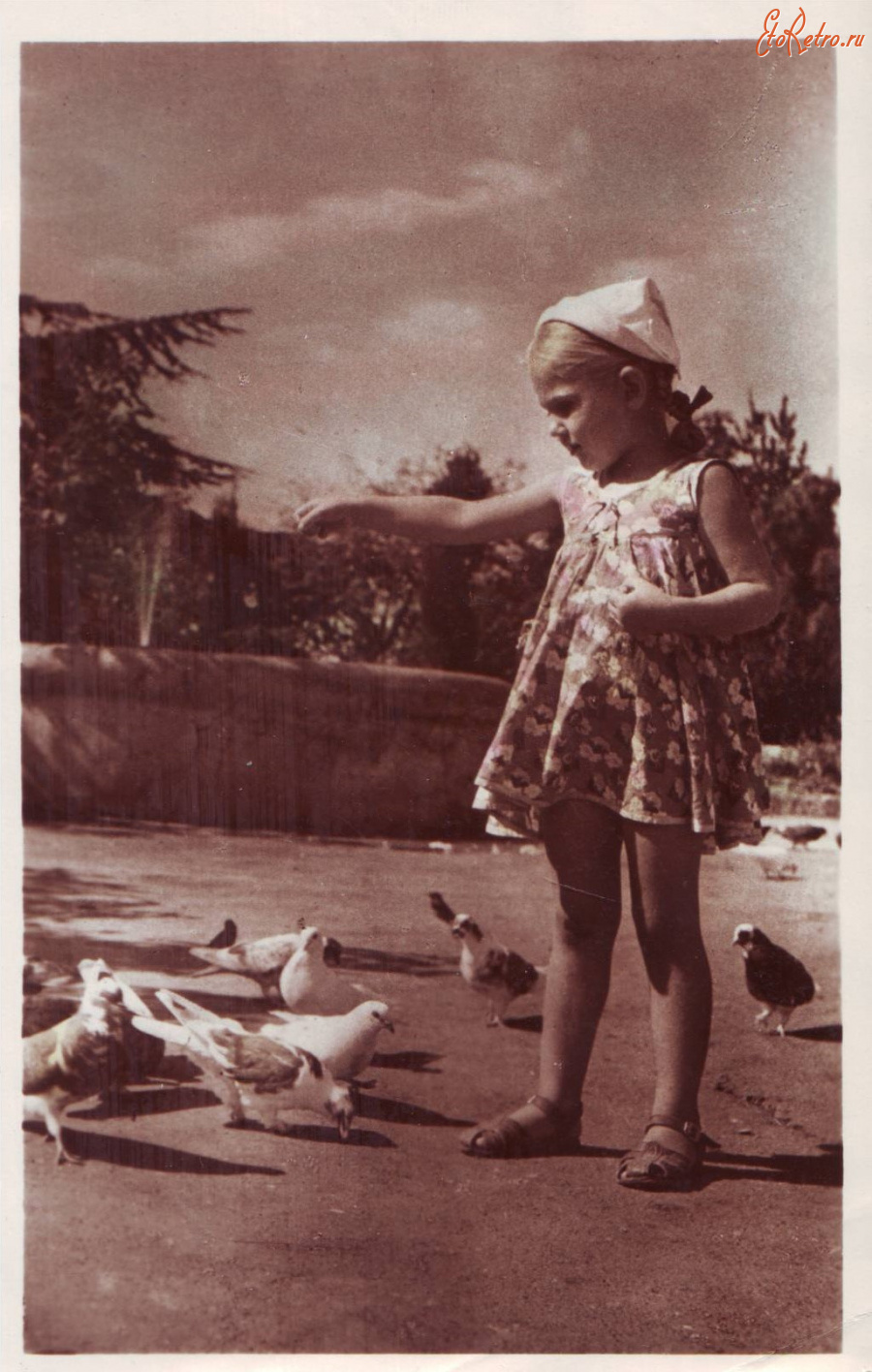 Ретро открытки - Фотоэтюд.Девочка и голуби.