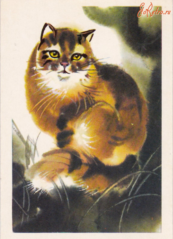 Ретро открытки - Кот