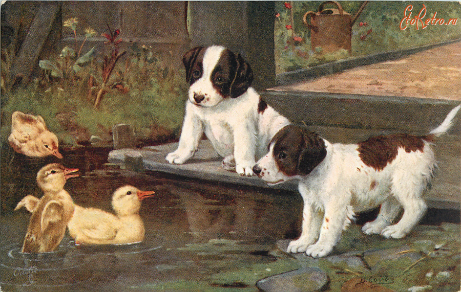 Ретро открытки - Два щенка и утята в пруду