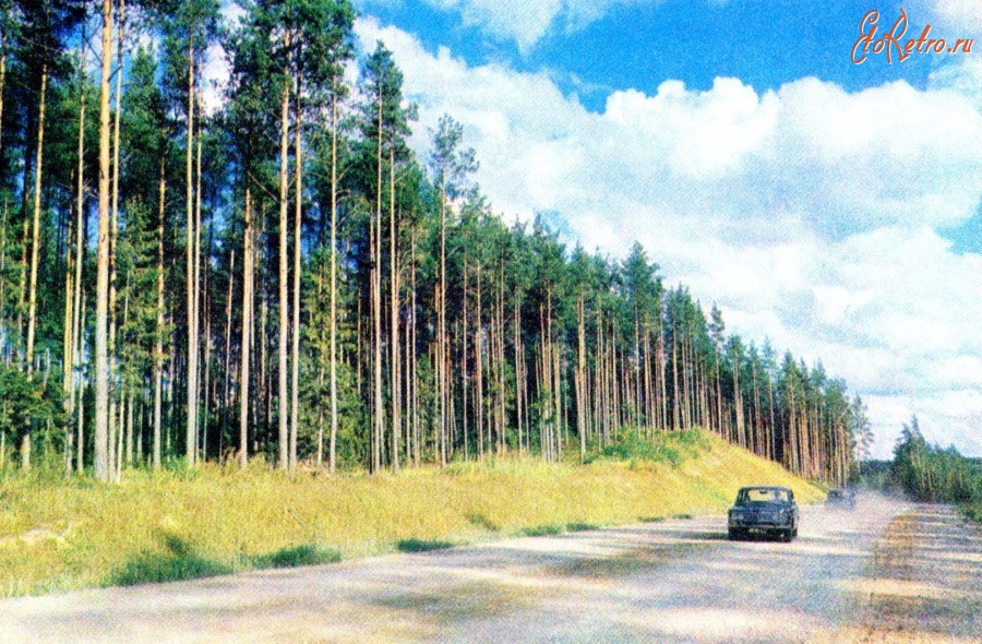 Латвия - Сосновый бор.