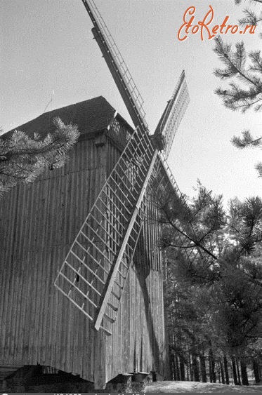 Рига - Латвийский этнографический музей. Ветряная мельница