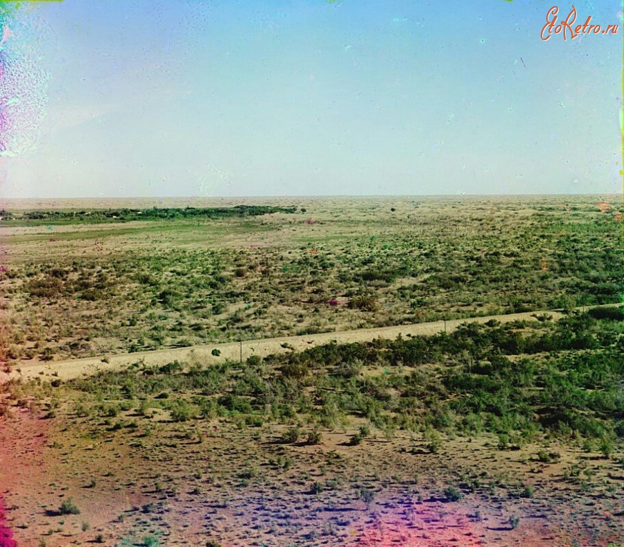 Туркменистан - Растения вдоль железной дороги возле Репетека, 1911