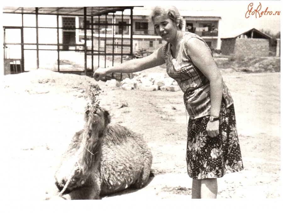 ква геок чу биография. медаль за походы в средней азии 1853-1895 за что вручалась. ква геок чу. ква геок чу. ли куан ю с семьей.