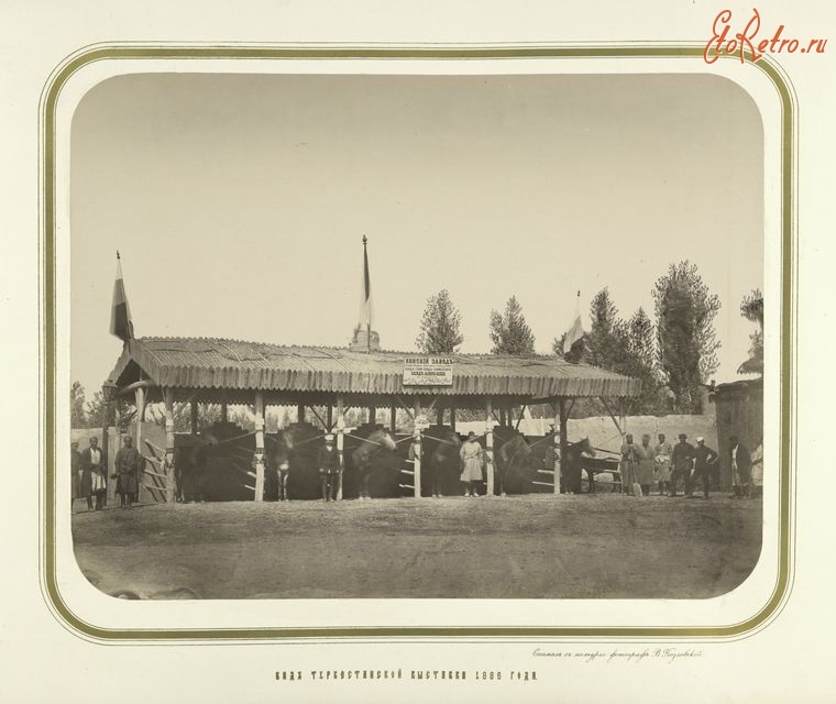 Ташкент - Туркестанская выставка 1886 г.  Стенд конюшни Саид-Азим Баева