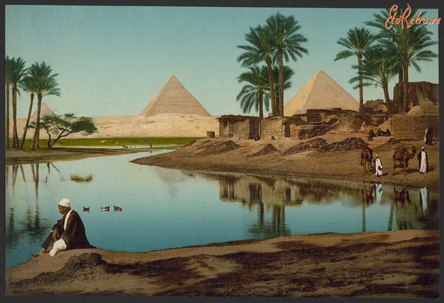 Каир - Пирамиды и крестьяне-фелахи в Джизе близ Каира