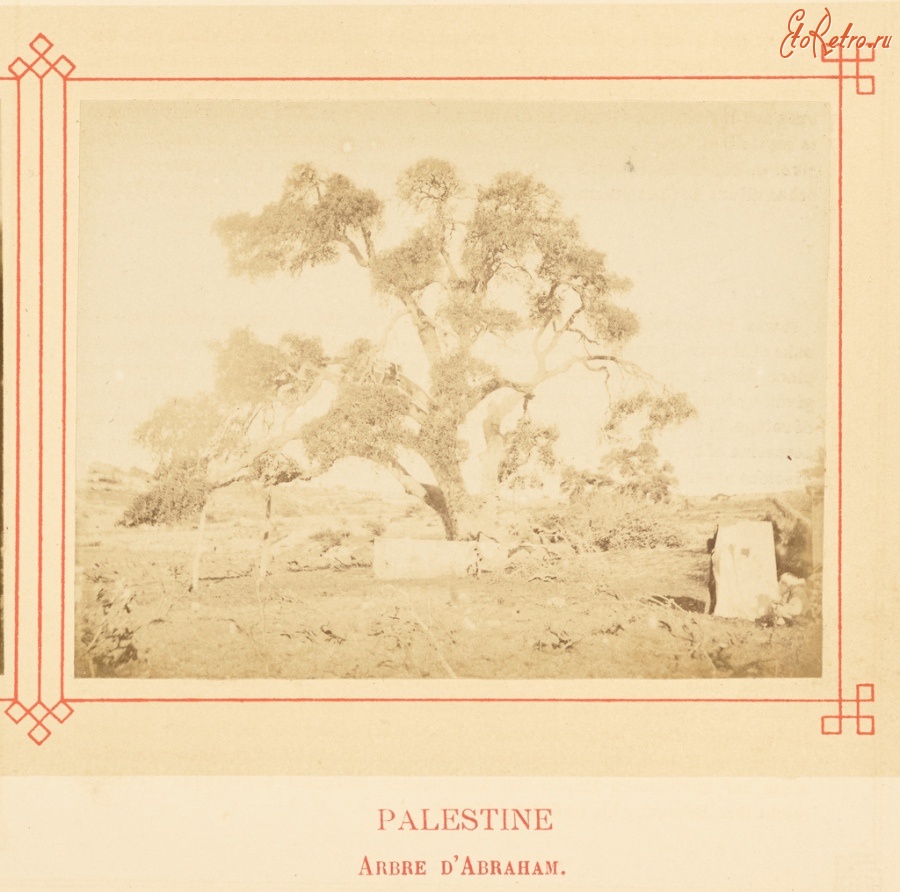 Израиль - Хеврон. Дуб Мамре, или Дуб Авраама, 1878