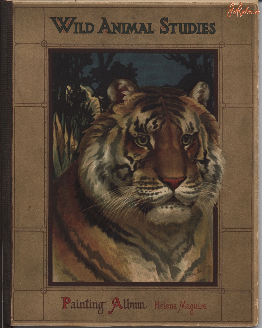 Пресса - Альбом живописи Изучение диких животных