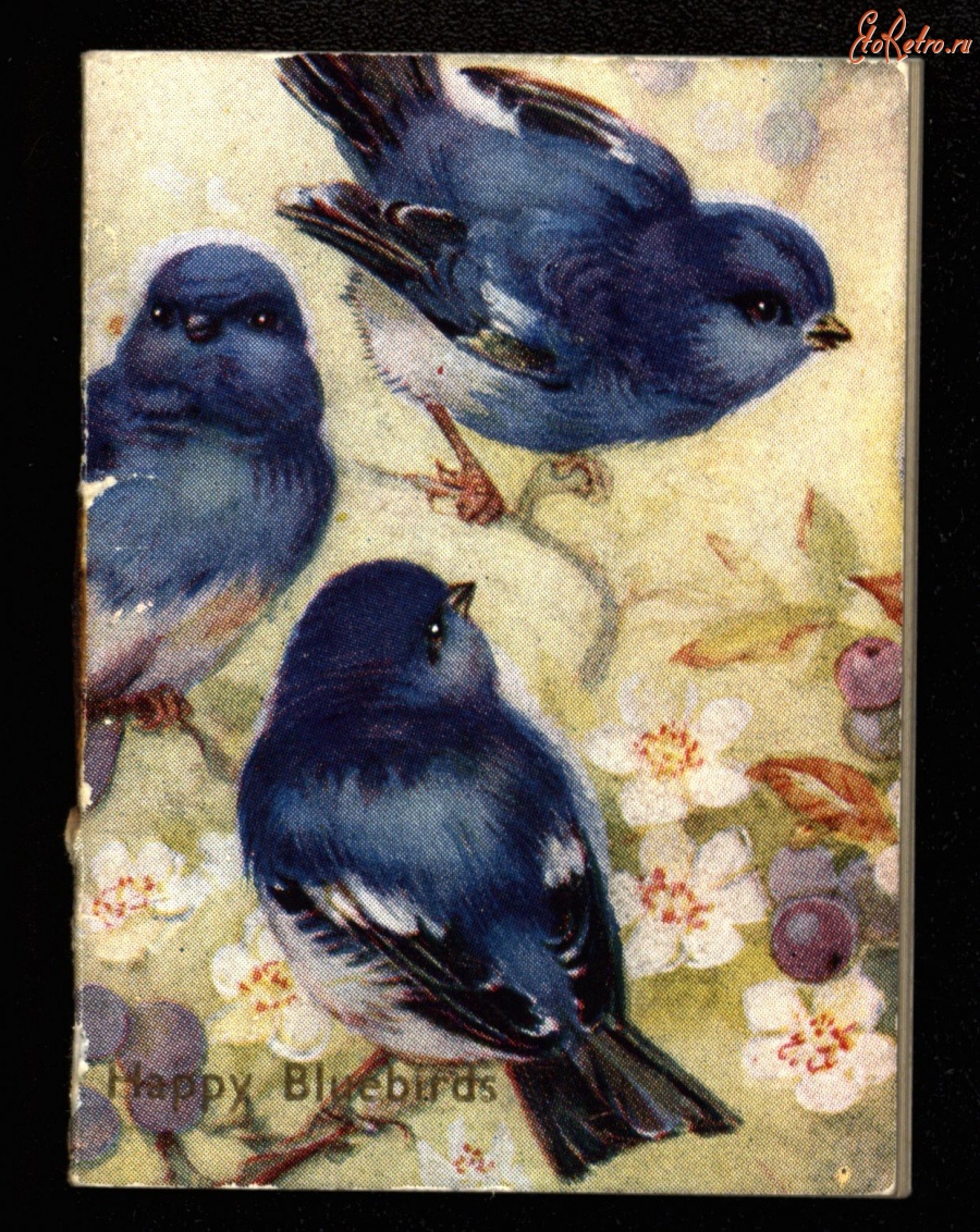 Пресса - Синие Птицы Счастья