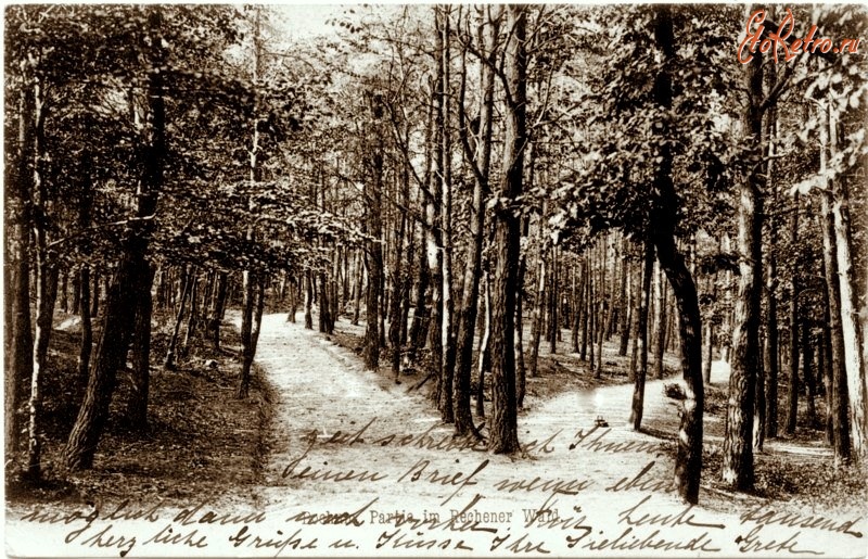 Бохум - Городской парк 1907 г.