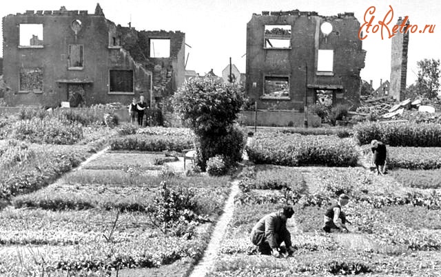 Бохум - Бохум.Огороды. 1945 г.