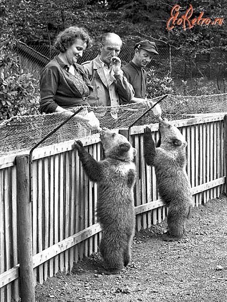 Бохум - Зоопарк 1951