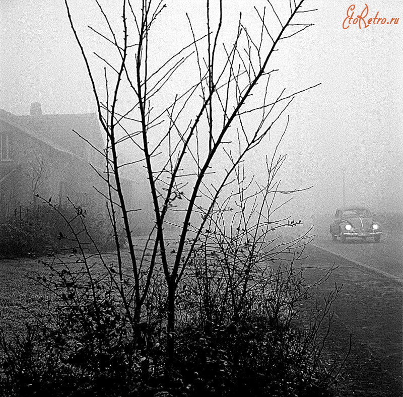 Бохум - Kafer im Nebel 1963