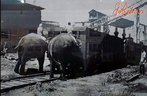 Железная дорога (поезда, паровозы, локомотивы, вагоны) - Слоны на маневровой работе