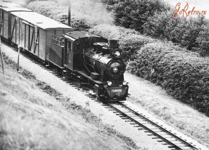 Железная дорога (поезда, паровозы, локомотивы, вагоны) - Узкоколейный паровоз Гр-255 с поездом на перегоне Вильянди-Мыйзакюла