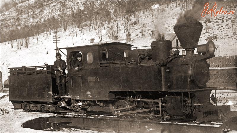 Железная дорога (поезда, паровозы, локомотивы, вагоны) - Узкоколейный полутанк-паровоз