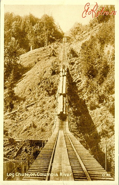 Железная дорога (поезда, паровозы, локомотивы, вагоны) - Железная дорога на лесозаготовках в горной местности США