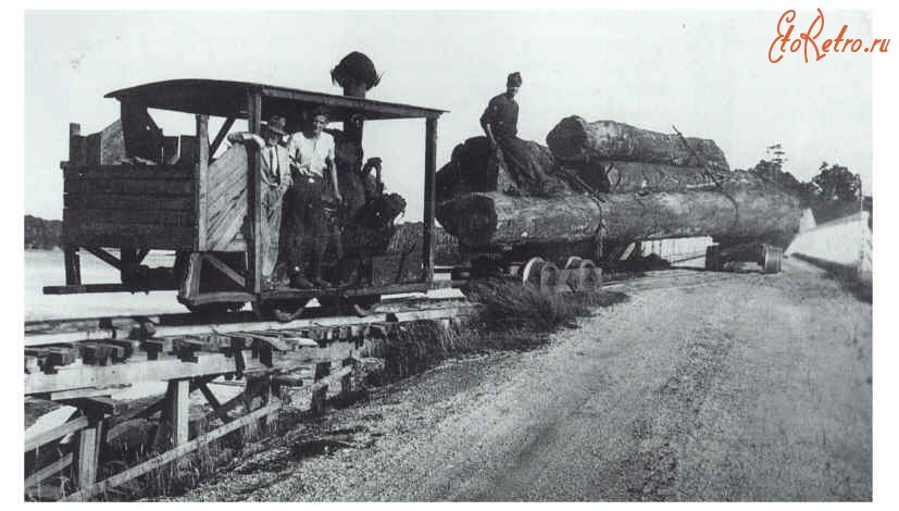 Железная дорога (поезда, паровозы, локомотивы, вагоны) - Узкоколейный редукторный паровоз типа 0-2-0 на лесозаготовках