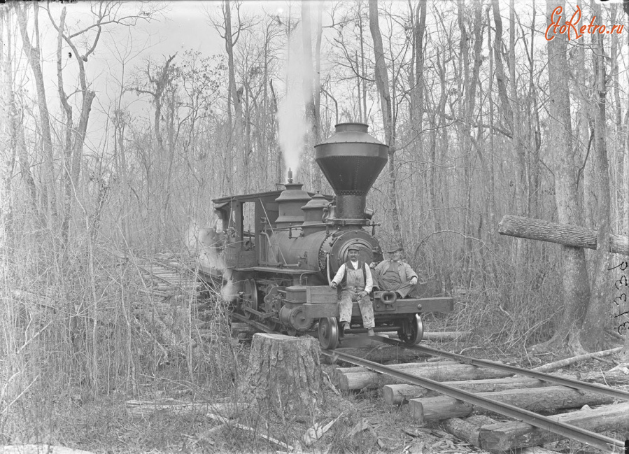 Железная дорога (поезда, паровозы, локомотивы, вагоны) - Паровоз на лесозаготовках в Джорджии