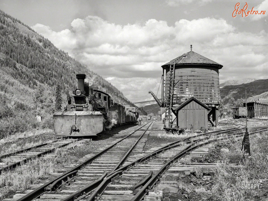 Железная дорога (поезда, паровозы, локомотивы, вагоны) - Поезд на станции узкоколейной ж.д.