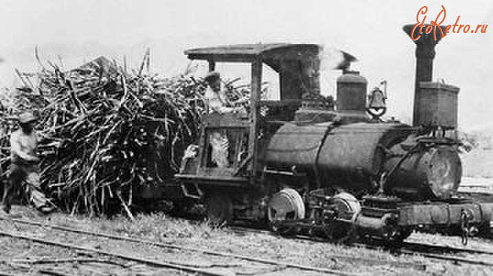 Железная дорога (поезда, паровозы, локомотивы, вагоны) - Узкоколейная ж.д. на плантации  сахарного тростника  на Гавайях