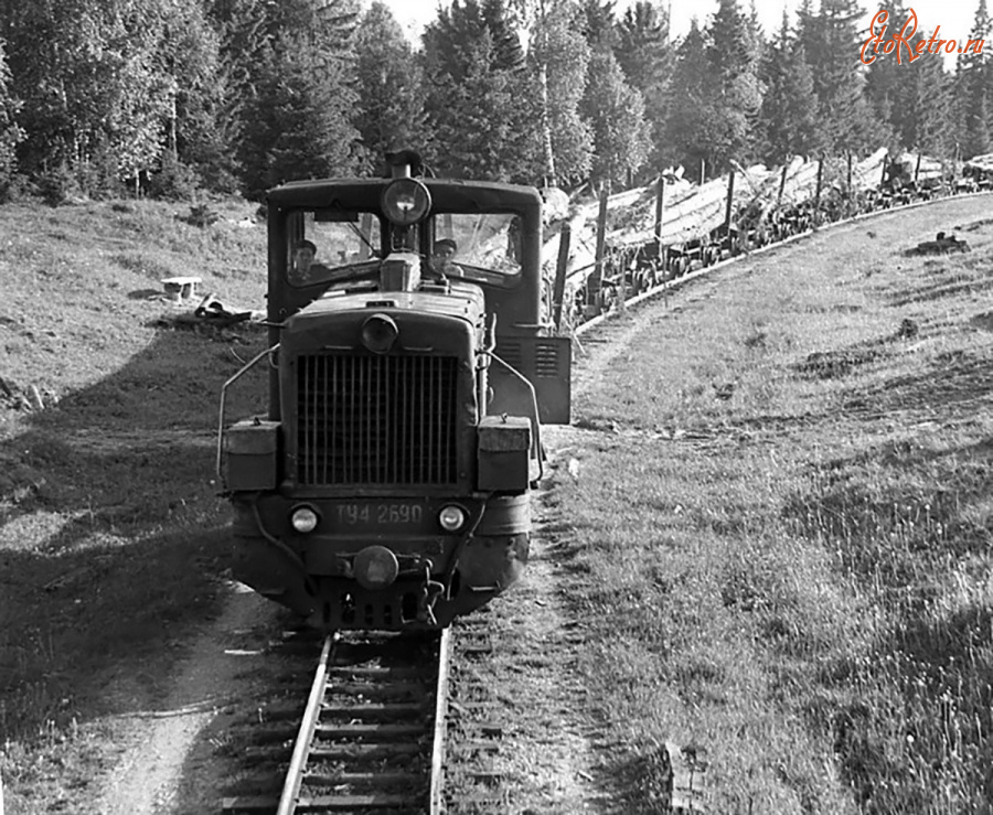 Железная дорога (поезда, паровозы, локомотивы, вагоны) - Тепловоз ТУ4-2690 с поездом на узкоколейной ж.д. Бизярского леспромхоза