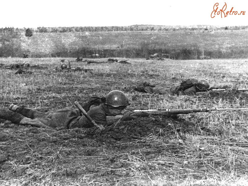 Войны (боевые действия) - Бой на Бородинском поле. Осень 1941 г.