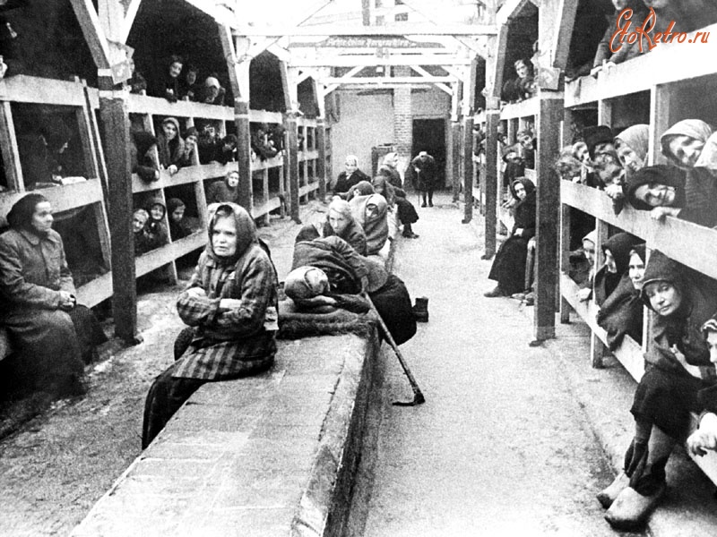 Войны (боевые действия) - Женский барак в Освенциме.