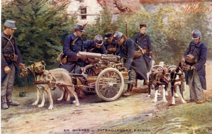Войны (боевые действия) - Собаки с тележками для перевозки пулеметов Максим и боеприпасов