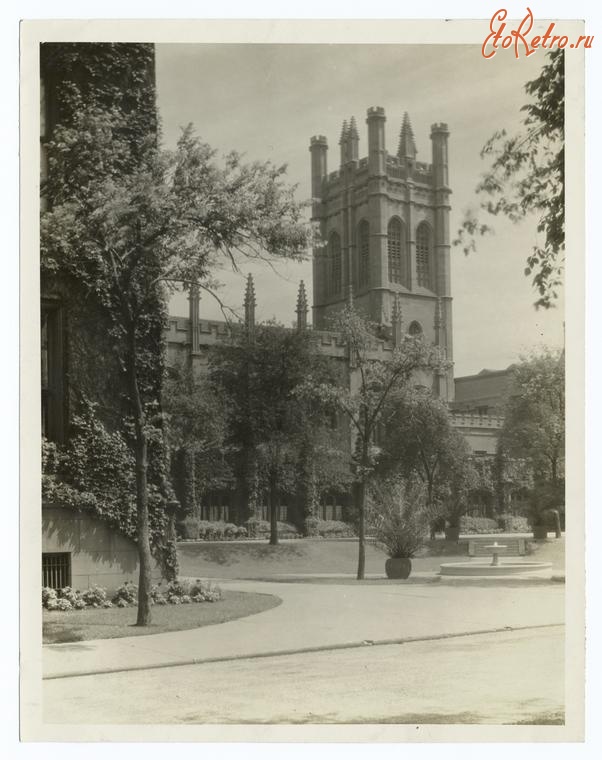 Чикаго - Здания Чикагского университета, 1860-1920