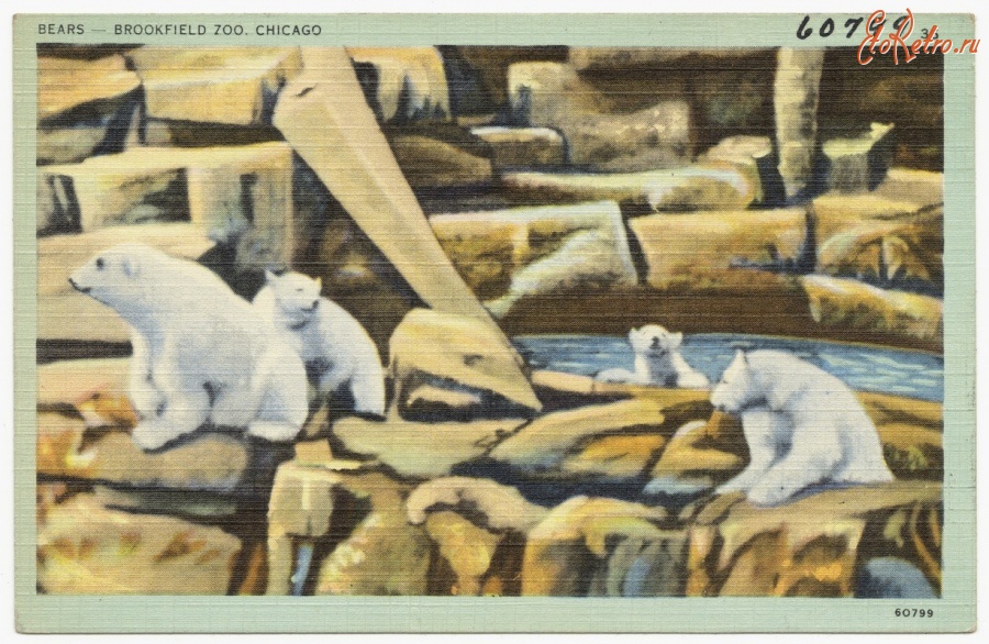 Чикаго - Чикаго. Зоопарк Брукфилда, 1930-1945