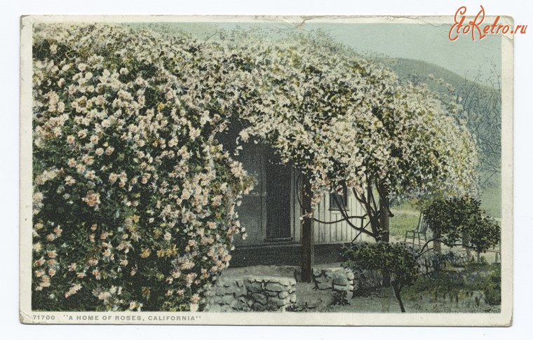 Штат Калифорния - Пасадена. Дом Роз, 1898-1931