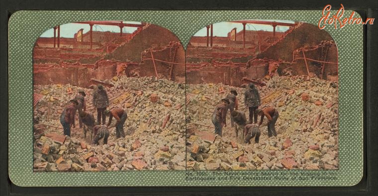 Сан-Франциско - Землетрясение 1906. Поиск пропавших без вести