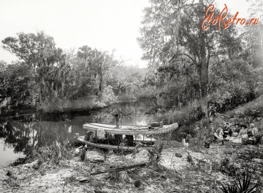 Штат Флорида - Пикник на реке Томока