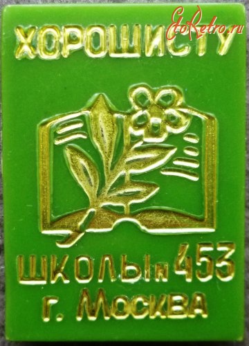 Медали, ордена, значки - Хорошисту школы № 453. г.Москва. Знак пластмассовый, малотиражный