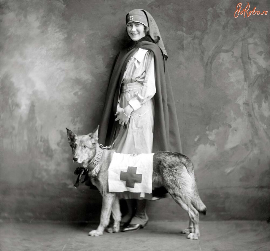 Военная техника - Военная медсестра со своим верным псом.