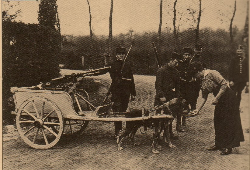 Военная техника - Бельгийские пулеметные собаки