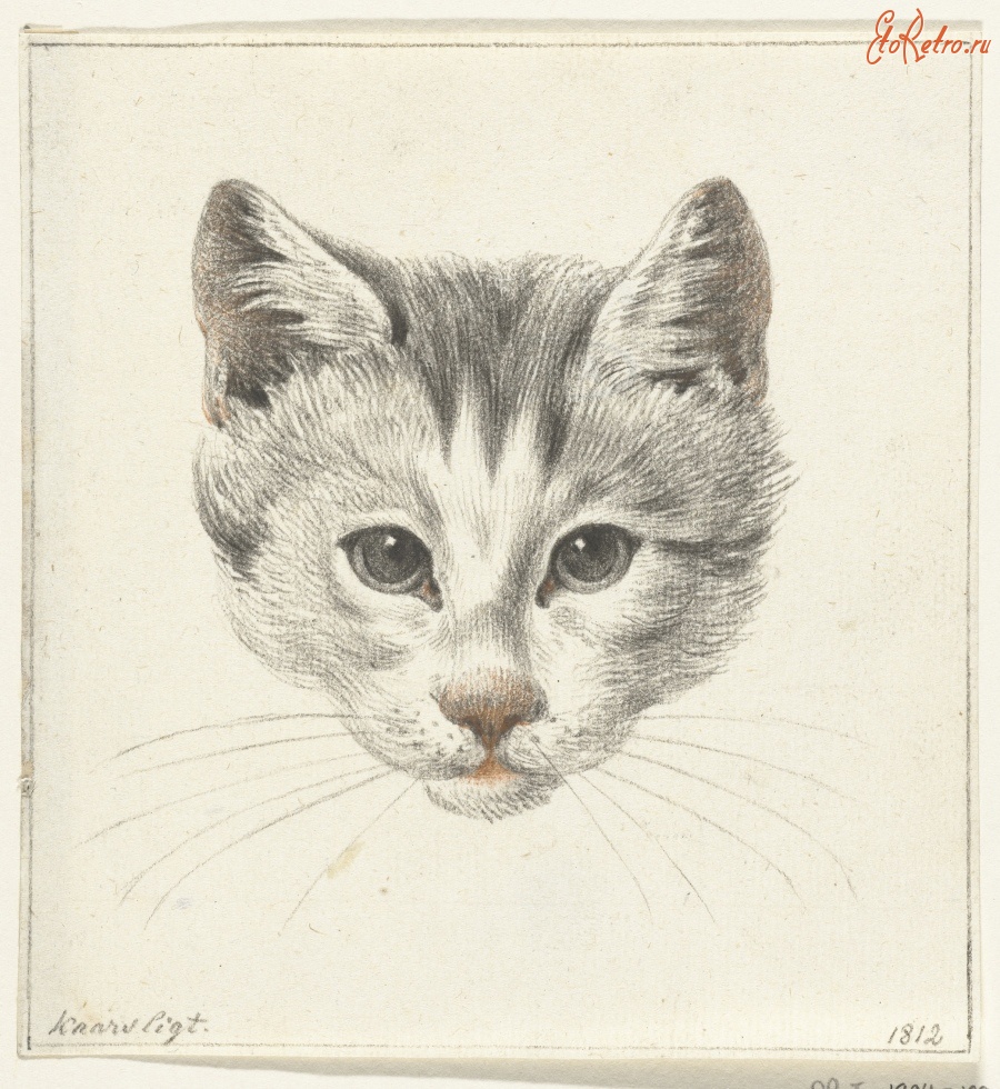 Картины - Кошка. Взгляд при свечах, 1812